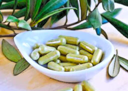 estratto foglie d'olivo integratori