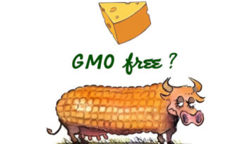 Produtos lácteos sem OGM