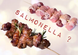 salmonella