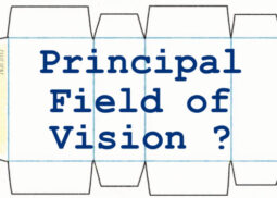 campo visivo principale