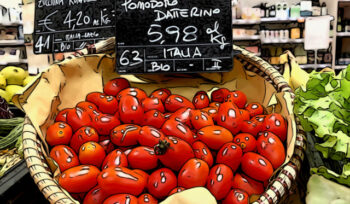 طماطم داترينو المهروسة