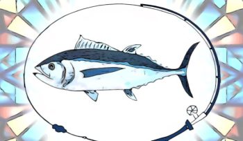 tonno allergene pesce