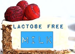 senza lattosio