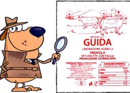 mozzarella 'made in'