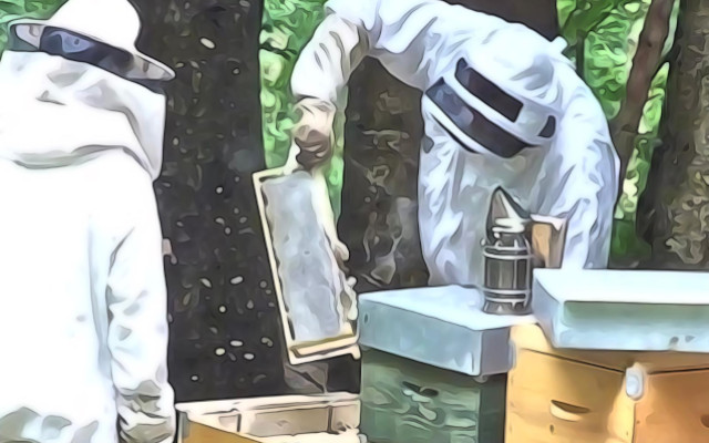 obbligo di registrazione associazione apistica